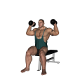 Shoulder Press - Seated Inwards
